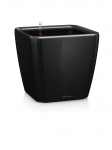 Lechuza Quadro 28