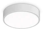 Lubinis &scaron;viestuvas Ideal Lux 13W LED plafonas RAY, baltas, 3000/4000K, IP44