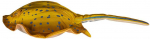 Žaislas EnergoFish Pillow Stingray 50cm