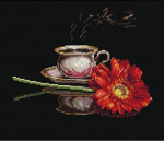 Andriana Beldizart Kava Jai SANK-26