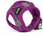 &Scaron;uns pakinktai Gloria Trek Star 24-26 cm 28-28,6 cm Purpurinė XXS