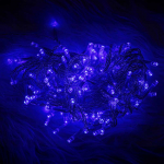 &Scaron;viestuvas 100LED 8m mėlynos spalvos Forever Light
