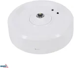 3W LED pavir&scaron;inis avarinis &scaron;viestuvas SKALER, baltas, 6000K, IP40, 1h veikimas autonominiu režimu, 50&deg;