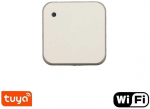 Vandeniui atsparus lauko &scaron;viesos ry&scaron;kumo jutiklis su WIFI Feelspot FS-LBS02W 0-30000 LUX, Tuya