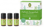 Primavera Aroma first aid kit 3 x 5ml eterinis aliejus namams