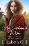 KNYGA Elizabeth Gill Orphan's Wish