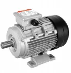 Vevor Elektrinis variklis 3000 aps/min 2 Ag 300x175x215mm 3 fazių B3 rėmas