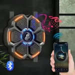 Muzikos bokso Bluetooth sieninis bokso skydas + 2 pir&scaron;tinės