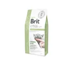 Brit GF Veterinary Diets sausas maistas katėms Diabetes 2kg