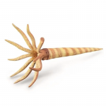 Collecta Figūrėlė - Orthoceras