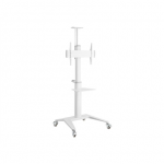 Laikiklis Gembird Aliuminio televizoriaus grindų stovas su ratukais, 37" - 70", baltas | Gembird