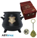 Abysse Harry Potter - Merchandise Box (Mug - Keychain - Suitcase)