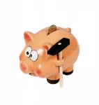 Roter Piggy bank su plaktuku w170z kryžminė kiaulė dovana taupymui