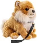 Uni-toys - Pomeranijos &scaron;picas su pavadėliu, sėdintis - 23 cm (auk&scaron;tis) - pliu&scaron;inis &scaron;uo, smailiasnukis, augintinis - pliu&scaron;inis žaislas, mink&scaron;tas žaislas