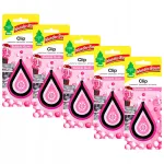 5x Wunder-baum Clip - Bubble Gum Automobilinis kvapas