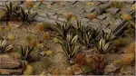 Gamers Grass Gamers Grass: lazeriniai augalai - Agave - Agawa