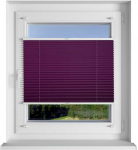 Plisuotos žaliuzės PLI 2412 75cm x 200cm