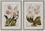Plakatas Paveikslas Home ESPRIT Tropinis Orchidėja 50 x 2,5 x 70 cm (2 vnt.)