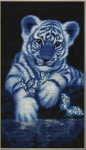 Beldizart (C) (Nutrauktas) Balto tigro jauniklis S/DZH011