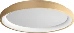 Lubinis &scaron;viestuvas 40W LED pavir&scaron;inis &scaron;viestuvas ICONIC, matinės aukso sp., 3000/4000K, dimeriuojamas, 01-3906
