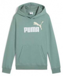 Puma Džemperis Paaugliams Ess 2 Color No. 1 Juodas 685823 01