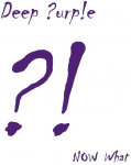 Deep Violetinė - Now What?! (vinilinė plok&scaron;telė, LP)