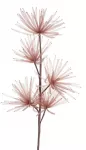 Eurofirany KW/ORGANZA/5/BR BRĄZ