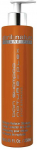 Abril Et Nature NATURE-PLEX TREATMENT bain &Scaron;ampūnas 250 ml