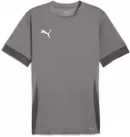 Puma Mar&scaron;kinėliai Vyrams TeamGoal Matchday Jersey Pilkas 705747 13