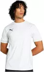 Puma Mar&scaron;kinėliai Vyrams TeamGoal Matchday Jersey Baltas 705747 04
