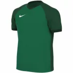 Mar&scaron;kinėliai vaikams Nike Dri-FIT Trophy VI žalia HV8158 302 (S)