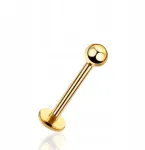 Auksinis Piercing auskaras Labret su rutuliuku Helix Lobe Plienas 316l Tragus 1,2/8/3