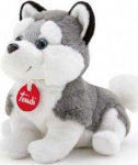 Trudi