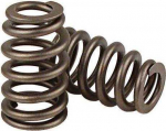 Eaton kūgio vožtuvo spyruoklė FORD Mazda 1,5 l 2,0 l 2,3 l 2,5 l 3,5 l