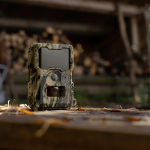 Stebėjimo kamera Dorr SnapShot Mini 5.0 Pro