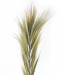 Jaukeja Rankų darbo dekoracija &ndash; &ldquo;Rayung Grass&rdquo;