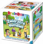 BrainBox &ndash; augintiniai REBEL