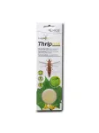 Tripsų vabzdžių vilioklis THRIPNOK, 1 vnt