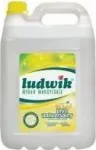 Staples LUDWIK Universalus skystis, marselio muilas 5 l