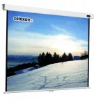 Celexon Rollo Professional Canvas 200 x 200 cm