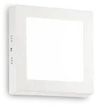 Lubinis &scaron;viestuvas 13,5W LED pavir&scaron;inė panelė UNIVERSAL, balta, 4000K