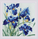 Uab Riolis Kryželiu siuvinėjimo rinkinys Mėlyni ir irizai 30x30 SR2102