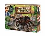 Nuotoliniu būdu valdoma tarantula 17cm &ndash; Buki France