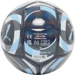 Puma Kamuolys Manchester City Culture Ball Mini (085245-01)