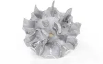Other MAGNETO SMAGRAČIO KI&Scaron;ENĖ 1 VERSIJA