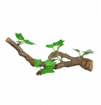 Terra Natura 18 ecb terariumo dekoratyvinė &scaron;akelė su lapais, vidutinio dydžio, 31 cm