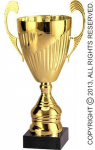 Auksinis metalinis taurė 32.5cm