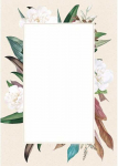 Galeria Papieru Popierius diplomams A4 170g 25l CAMELLIA