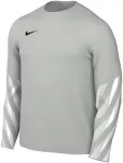 Vyri&scaron;ki mar&scaron;kinėliai Nike Dri-Fit Park V Stadium pilka HV8314 097 (XL)