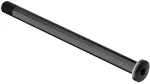 Greitveržlė priekinei stebulei DT Swiss RWS10 12 x 100 mm